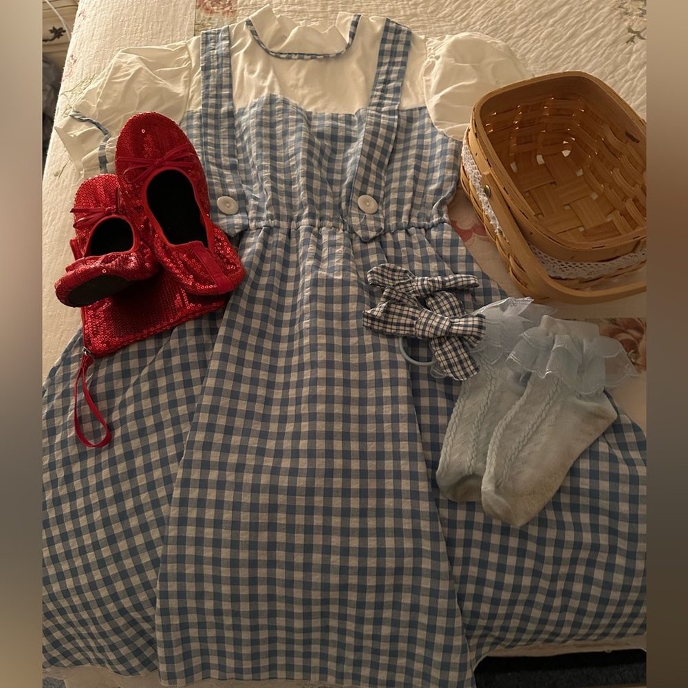 Dorothy Wizard of Oz Costume